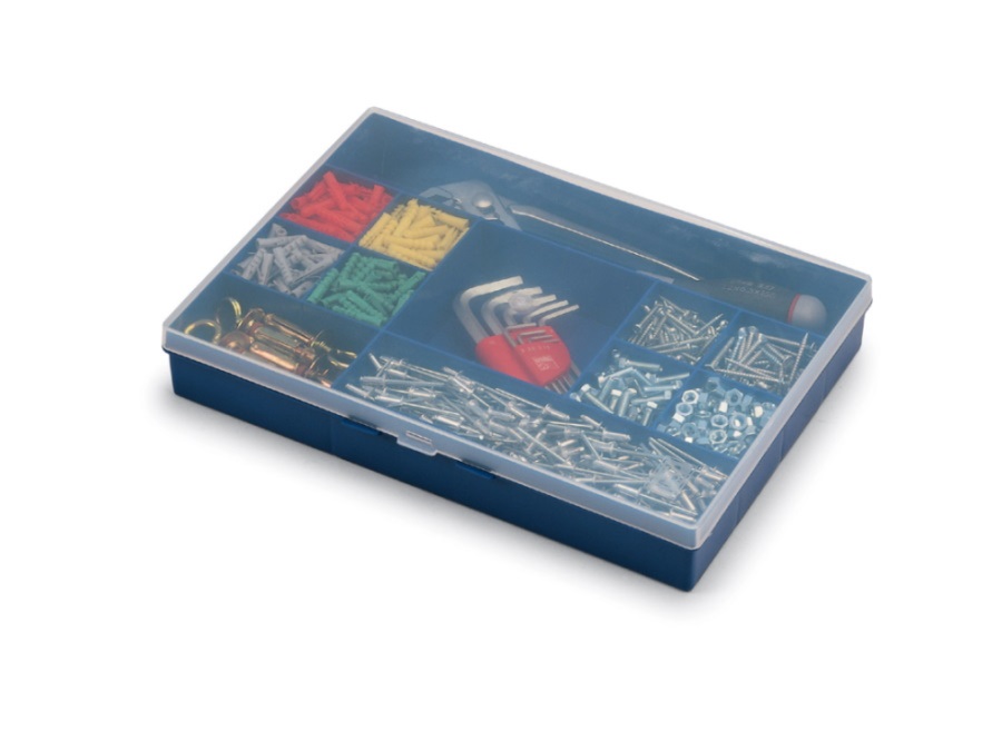 TERRY STORE AGE Organizer a scomparti con coperchio F3 - 1000630