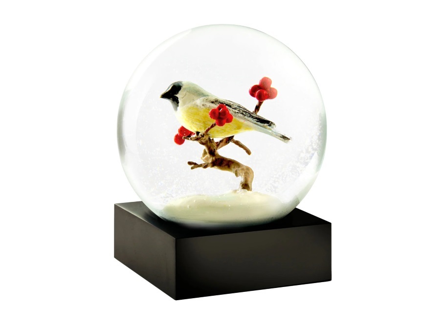 COOLSNOWGLOBES Palla di neve - cinciallegra