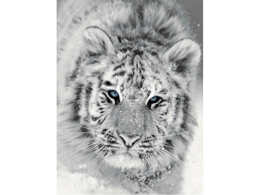 MAISON SUCREE Panthera plaid, 140x175