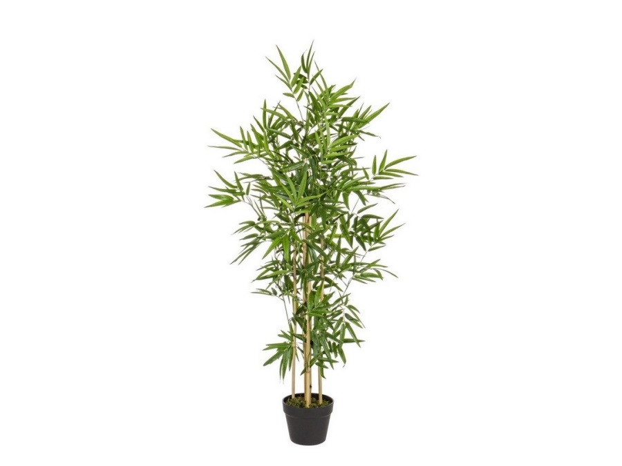 Bizzotto pianta bamboo con vasi, h. 130 cm