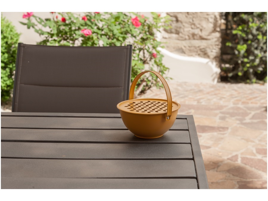 WD LIFESTYLE Portazampirone antracite