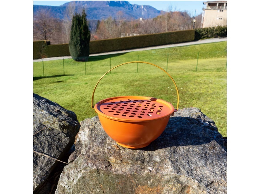 WD LIFESTYLE Portazampirone arancione