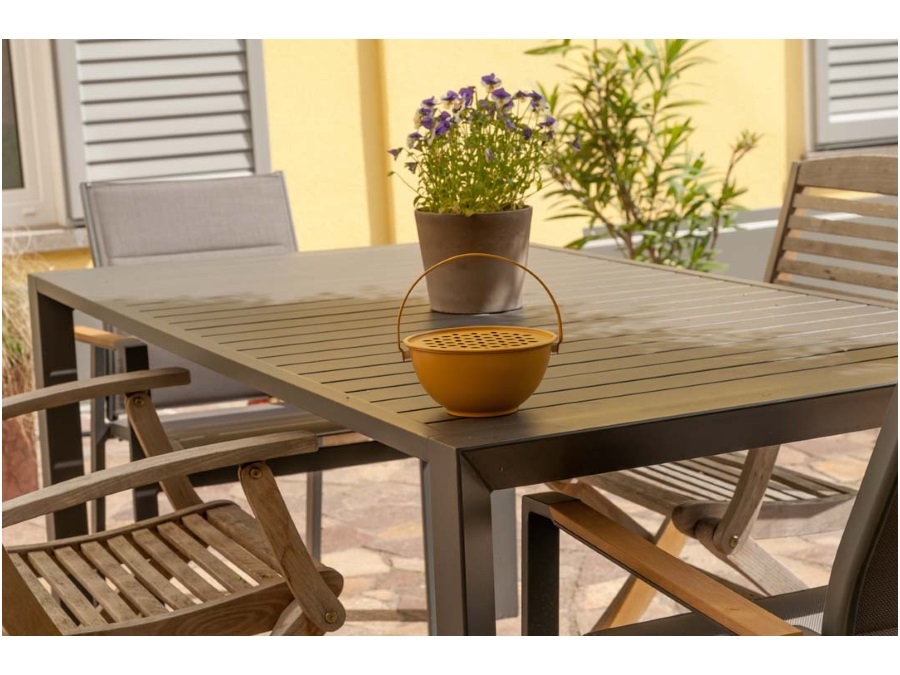 WD LIFESTYLE Portazampirone senape