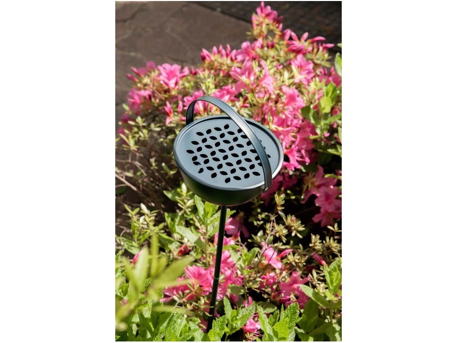 WD LIFESTYLE Portazampirone verde