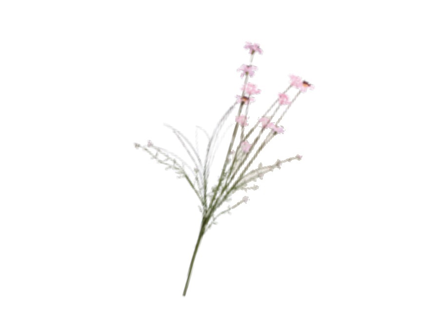 RITUALI DOMESTICI Quelmazzolindifiori, gretel rosa