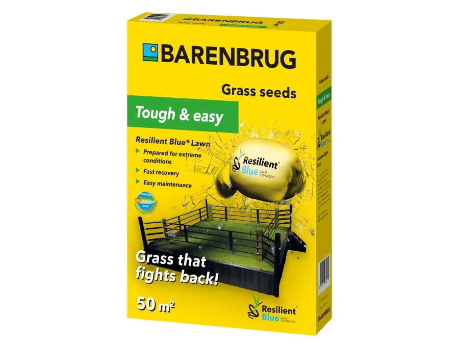 BARENBRUG ITALIA S.R.L. Semente resilient blue lawn, 1 kg