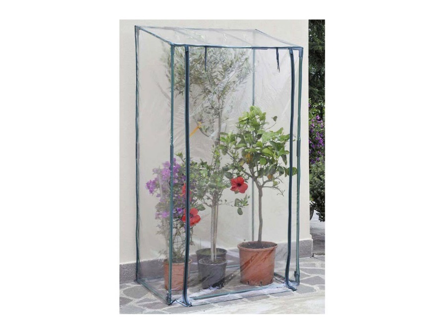 VERDEMAX Serra Buganvillea