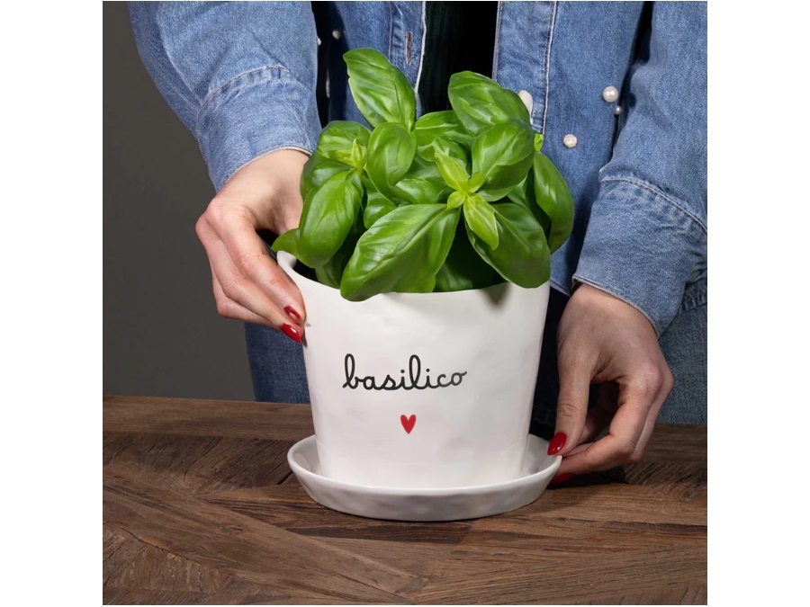 SIMPLE DAY LIVING & LIFESTYLE Vaso Basilico cuore, con sottovaso