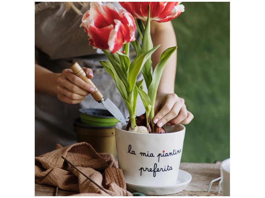 SIMPLE DAY LIVING & LIFESTYLE Vaso La mia piantina preferita con sottovaso