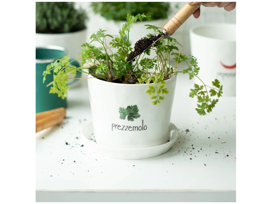 SIMPLE DAY LIVING & LIFESTYLE Vaso Prezzemolo con sottovaso