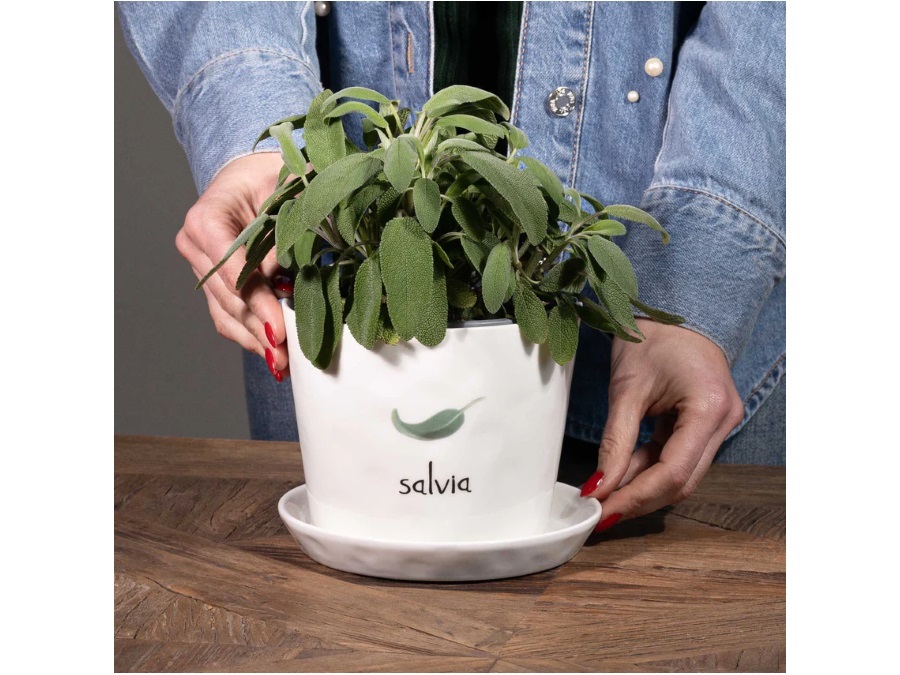 SIMPLE DAY LIVING & LIFESTYLE Vaso Salvia, con sottovaso
