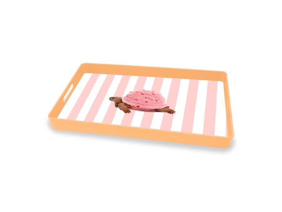 WD LIFESTYLE Vassoio rettangolare tartaruga 40x24 cm