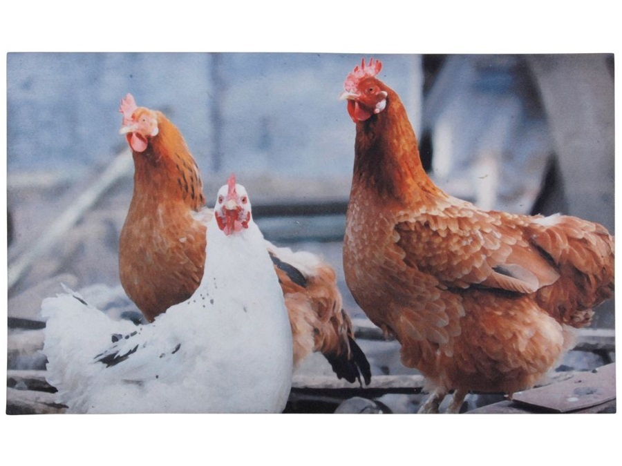 ESSCHERT DESIGN Zerbino da interno decorato gallina